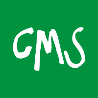 Продвижение сайтов на самописных CMS Продвижение сайтов на самописных CMS